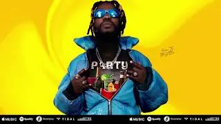 Nviiri The Storyteller - Party(Official Audio)