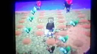 ACCF - Super Flower Destroction