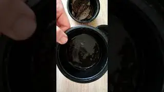 Как мы дважды варим гречку и первоисточники