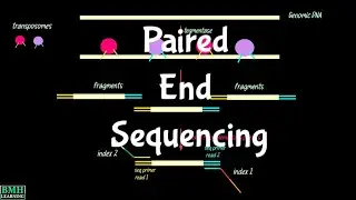 Paired End Sequencing | Paired End Vs Single End Sequencing | Pair End Reads | Single End Reads |