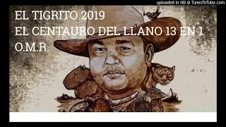 13 EN 1 EL TIGRITO DE MATANEGRA 2019 - EL CENTAURO DE LA SABANA - OMR