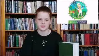 Проект 