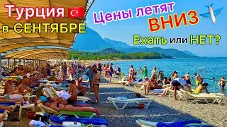 Турция в СЕНТЯБРЕ 2024🇹🇷 Цены ПАДАЮТ❗️ Все СРОЧНО летят! Плюсы и минусы ОТДЫХА в Турции ОСЕНЬЮ