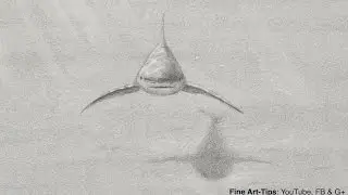 How to Draw a Shark - Narrated - sketch