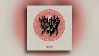 Young Seba - Próba (SBM Starter)