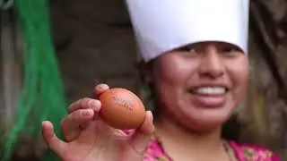 TUTORIAL DE COMO HACER UN PASTEL , Nancy Risol