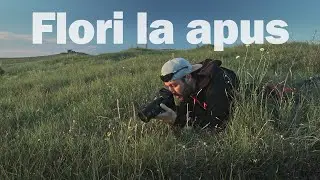 Fotografiind flori la apus [Landscape Photography Tips]