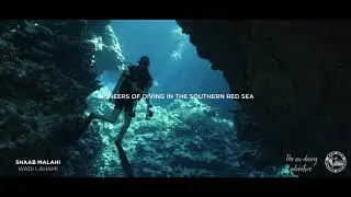 Diving With Red Sea Diving Safari | The Eco-Diving Adventure