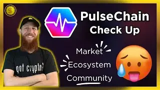 #PulseChain Check Up: Market / Community / Ecosystem