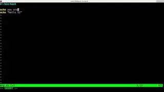 Parameters Arguments Linux Shell Script Tutorial