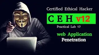 CEH Practical Lab 17|| Web Application Penetration||Urdu||Hindi