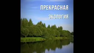 Центр реабилитации Ясенки