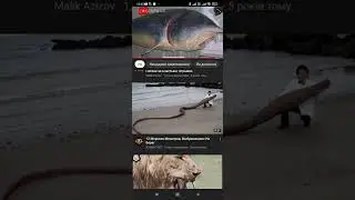 🔥ЦАРСКИЙ УЛОВ