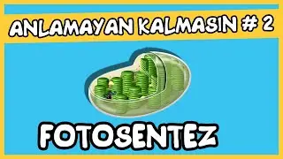 Anlamayan Kalmasın #2 Fotosentez