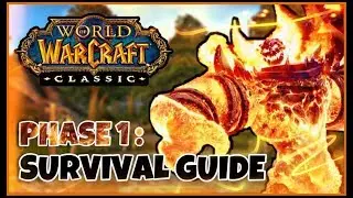 Classic WoW Phase 1 and Launch Survival Guide (Leveling, Professions, Raiding, etc.)