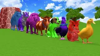 Paint & Animals Duck,Cow,Hamster,Lion,chicken,Dog,Fountain Crossing Transformation Cartoon Game