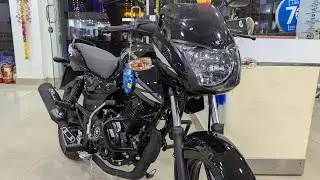 All New 2024 Bajaj Pulsar 125 Disc