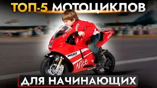 ТОП-5 МОТОЦИКЛОВ ДЛЯ НАЧИНАЮЩИХ❗ HONDA | KTM | KAWASAKI | YAMAHA