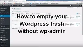 How to empty your Wordpress trash from MySQL