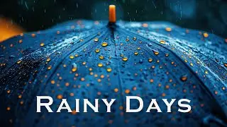 Rainy Days Jazz | Music for a Calm and Quiet Day | Lounge Music