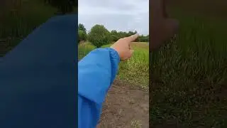 покатушки 2