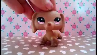LPS: ТОП 6 Розовых Lps/ Совмесно с ANGELINA LPS