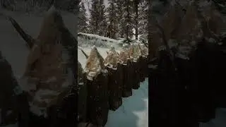 Когда Думал, Что Обманул Систему в Sons of the Forest