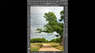 select tree in 15 second - photoshop tutorial 