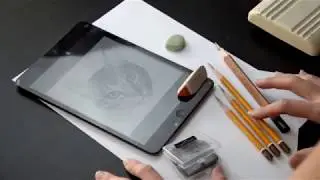 Рисуем кошку простым карандашом. Как нарисовать кошку. Урок рисования карандашом.