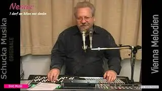 Manfred Nemec  - I därf an Wien ned denken ( Horst Chmela Cover )