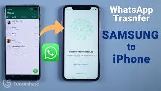 The FAST Way Transfer WhatsApp from Samsung to iPhone/Android to iPhone