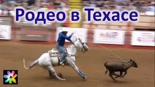 🐎 Cowboys Championship Rodeo in Texas. Stockyards, Fort Worth