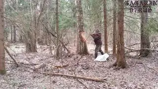 Смешное Видео. Мы лесорубы - мы не плотники!!!