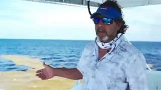 Top 3 Mahi-Mahi Fishing Mistakes (With Peter Miller & Captain Q)