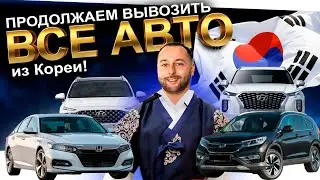 ПРОДОЛЖАЕМ ВЫВОЗИТЬ ВСЕ АВТО ИЗ КОРЕИ❗️ACCORD❗️CRV❗️SANTAFE❗️POLISADE❗️