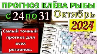 Прогноз клева рыбы на Эту неделю с 24 по 31 Октября Лунный Календарь рыбака на октябрь 2024