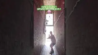 encountering rapier fencing in an alley 골목길에서 레이피어를 본다면..?