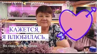 Кажется, я влюбилась...