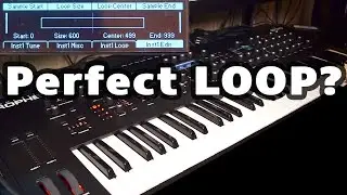 Finding that perfect sample loop point | Prophet X Tutorial