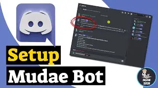 How To Set Up Mudae Bot On Discord