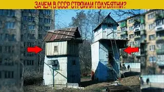 Зачем в СССР строили ГОЛУБЯТНИ?