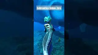 У меня украли сканер Subnautica Below Zero 