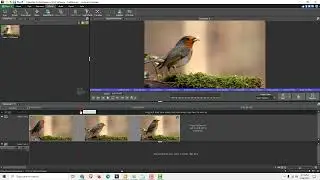 VideoPad Tutorial: How to Cut and Join Video in VideoPad