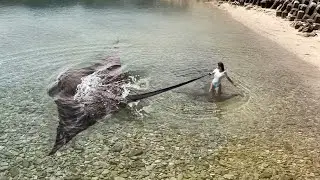 НЕВЕРОЯТНЫЕ МОМЕНТЫ, СНЯТЫЕ НА КАМЕРУ