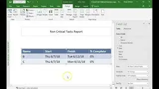 MS Project: Creating new custom graphical report