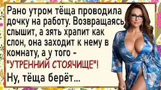 Как тёща потрогала у зятя! Сборник свежих анекдотов! Юмор!
