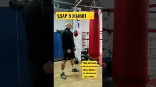 НОКАУТИРУЮЩИЙ УДАР. Удар в живот.Нокаут с одного удара.