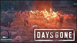DAYS GONE - HORDE BEHIND NEST? | Rimview Ranch Horde