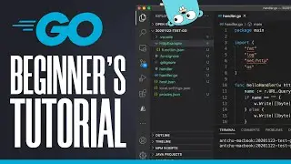 How To Use Golang | Easy Tutorial