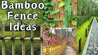 Bamboo Fence Ideas: Privacy, Style & Functionality from Privacy Screens to Wind Protection